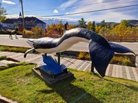 20241011_tadoussac (17)