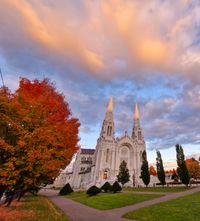 20241013_schneeg&auml;nse_cidre_basilika (256)